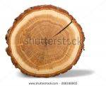 Obrázek ke kategorii 239 - Ochrana dřeva